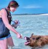 Schwimmen mit Schweinen, Bluff House Beach Resort, Abacos, BAH Credit: Bluff House Beach Resort
