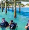 Tauchgruppe im Wasser, Tauchen, Themenreisen, BAH Credit: The Bahamas Ministry of Tourism & Aviation