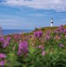 Point Amour Lighthouse, Neufundland und Labrador - Credit: ACAT