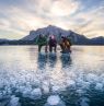 Paar mit Guide, Abraham Lake, Nordegg, Alberta - Credit: Travel Alberta / Story First