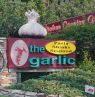 Außenansicht, The Garlic, New Smyrna Beach, Florida - Credit: The Garlic, NSBVB