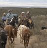 Cattle Drive 1, Tombstone Monument Ranch - Credit: Tombstone Monument Ranch, Scott T. Baxter