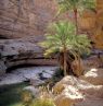 Wadi Bani Khalid - Credit: Ministry of Heritage & Tourism Sultanate of Oman