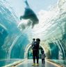 Assiniboine Park Zoo Journey to Churchill Credit: Travel Manitoba