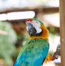 Wonder Gardens 2, Fort Myers, Florida - Credit: Fort Myers - Islands, Beaches and Neighborhoods