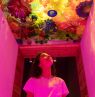 Chihuly Collection, Morean Arts Center, St. Pete - Credit: Visit St. Pete-Clearwater
