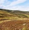 Cairngorms & Whisky - Credit: Dirk Cairngorm