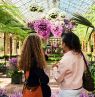 Longwood Conservatory, Longwood Gardens - Credit: The Countryside of Philadelphia