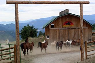 WA/Bull Hill Ranch/Pferde vor Scheune 340